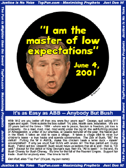 Anti-Bush Posters