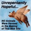 When Pigs Fly - Unrepentantly Hopeful
