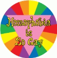 Homophobia is So Gay GAY BUTTON