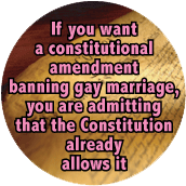 If you want a constitutional amendment banning gay marriage, you are admitting that the Constitution already allows it GAY T-SHIRT