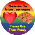 Heart, Brain - Largest Sex Organs - Please Use Freely FUNNY GAY PRIDE STICKERS