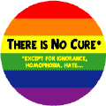 There is No Cure Except for Ignorance, Homophobia, Hate GAY PRIDE BUTTON