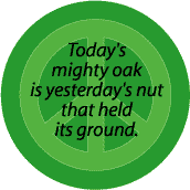 Today's Mighty Oak is Yesterday's Nut that Held Its Ground--FUNNY PEACE QUOTE STICKERS