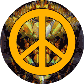 PEACE SIGN: End Hunger And Poverty--BUTTON