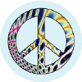 PEACE SIGN: Join Anti War Protests--BUTTON