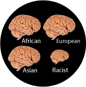 African, European, Asian, Racist [small racist brain] POLITICAL STICKERS