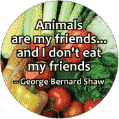 Animals are my friends...and I don't eat my friends - George Bernard Shaw quote POLITICAL KEY CHAIN