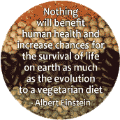 Nothing will benefit human health and increase chances for the survival of life on earth as much as the evolution to a vegetarian diet - Albert Einstein quote POLITICAL MAGNET