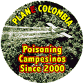 Plane Colombia - Poisoning Campesinos Since 2000 POLITICAL KEY CHAIN