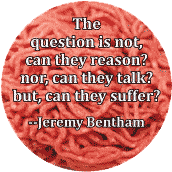 The question is not, can they reason? nor, can they talk? but, can they suffer? -Jeremy Bentham quote POLITICAL MAGNET