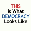 This is What Democracy Looks Like POLITICAL BUMPER STICKER