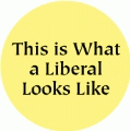 This is What a Liberal Looks Like POLITICAL BUMPER STICKER