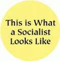 This is What a Socialist Looks Like POLITICAL BUTTON