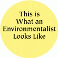 This is What an Environmentalist Looks Like POLITICAL BUMPER STICKER
