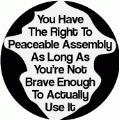 You Have The Right To Peaceable Assembly, As Long As You're Not Brave Enough To Actually Use It POLITICAL KEY CHAIN