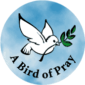 Bird of Pray (Peace Dove picture)--PEACE BUMPER STICKER