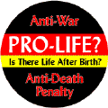 Pro-Life: Is There Life After Birth--POLITICAL BUTTON