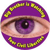 Big Brother is Watching Your Civil Liberties--POLITICAL KEY CHAIN