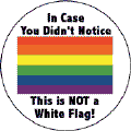 In Case You Didn't Notice - This is NOT a White Flag  Gay Pride Flag--Gay Pride Rainbow Store COFFEE MUG