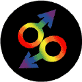 Rainbow Male Gender Symbols--Gay Pride Rainbow Shop MAGNET