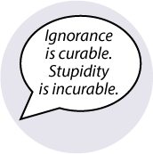 Ignorance is curable. Stupidity is incurable. SPIRITUAL BUMPER STICKER