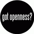 got openness? SPIRITUAL KEY CHAIN