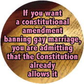 If you want a constitutional amendment banning gay marriage, you are admitting that the Constitution already allows it GAY POSTER