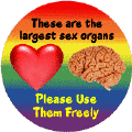 Heart, Brain - Largest Sex Organs - Please Use Freely FUNNY GAY PRIDE KEY CHAIN