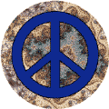 PEACE SIGN: Sea Shell Beach--STICKERS