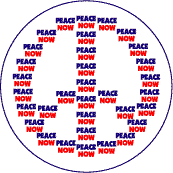 WORDS Peace Now--WORD PICTURE PEACE SIGN KEY CHAIN