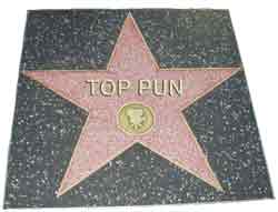 Hollywood Walk of Fame?